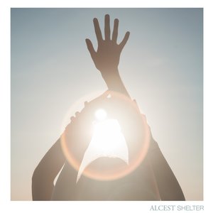 Shelter (Deluxe Edition)