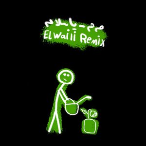 Ya Salam (Remix)