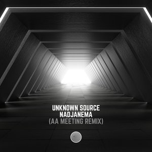 Nadjanema (AA Meeting Remix)