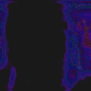 Avatar for wavegrave
