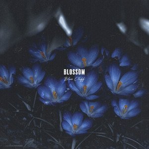 Blossom