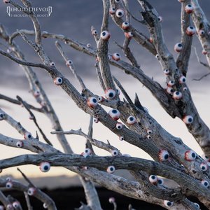 Through the Roots