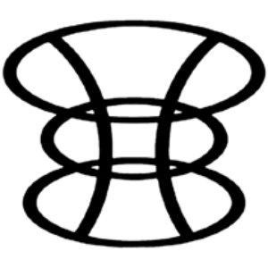 Avatar for The Limbik System