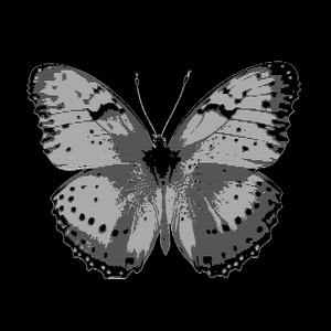 Avatar for Beluga Princess