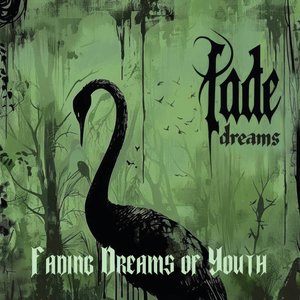 Fading Dreams of Youth