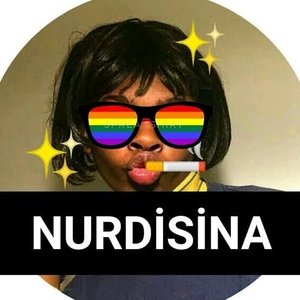 Avatar for Nurdisina Bayburt