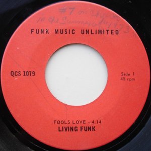 Avatar for Living Funk
