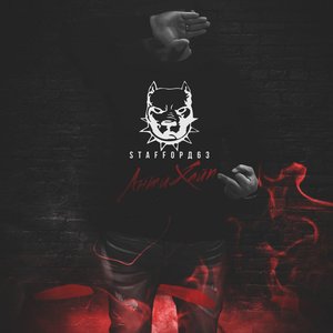 Avatar for StaFFord63