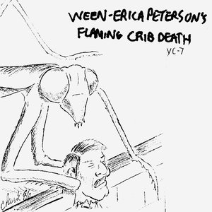 Erica Peterson's Flaming Crib Death