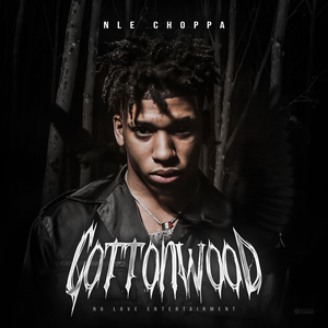 NLE Choppa - Step Lyrics - Zortam Music