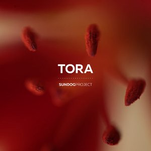 Tora