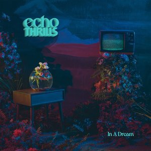 In a Dream