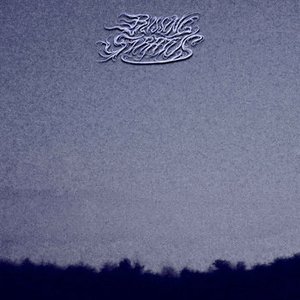 Enshrouded by Veil of Memories