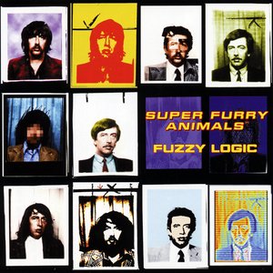 Fuzzy Logic