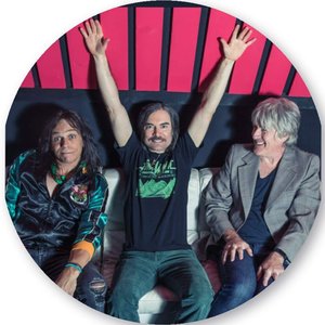 Avatar for The Lickerish Quartet
