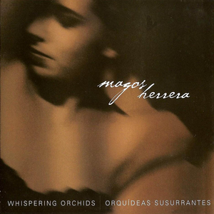 Artwork for Rote De Manha