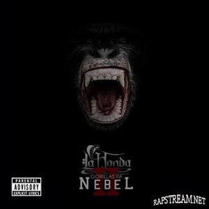 Gorillas im Nebel II