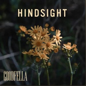 Hindsight