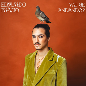 Vai-se Andando? by Edmundo Inácio