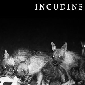 Avatar for INCUDINE