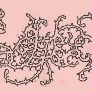 Avatar for Veins Like Vines