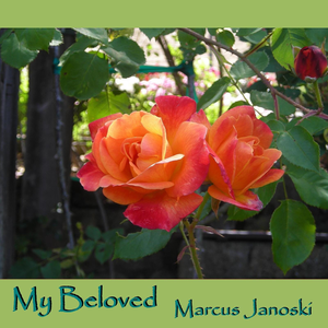 My Beloved by marcus janoski