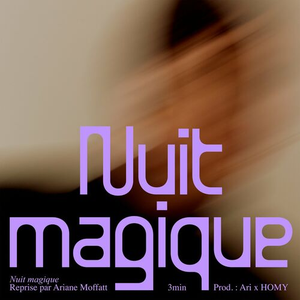 Artwork for Nuit magique