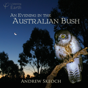 An Evening in the Australian Bush by Andrew Skeoch