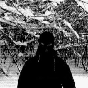 Avatar for 1389