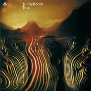 Trinity Roots