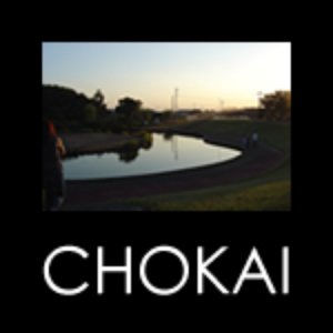 Avatar for Chokai