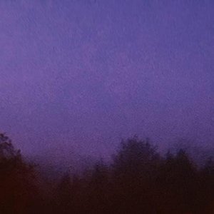 The Night Falls on You
