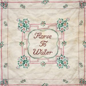 Horse To Water