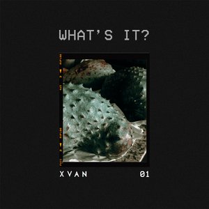 What's It? - Single