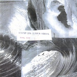 Silver Sea Surfer School