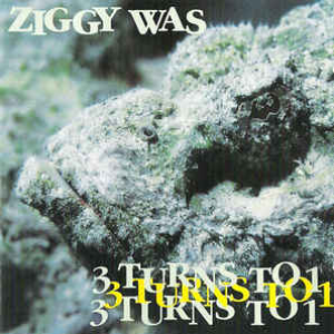 3 Turns To 1 by Ziggy Was