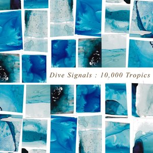 10,000 Tropics