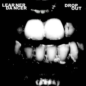 Dropout Redux
