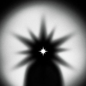 Avatar for Motil