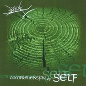 Comprehension of self