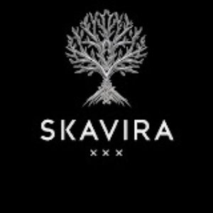 Avatar for Skavira