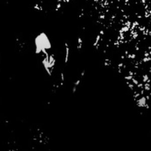 Selbstzerstörung için avatar