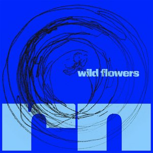 Wild Flowers
