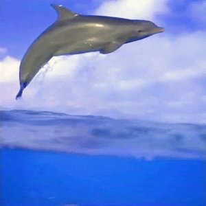Avatar for EKKONOIZU