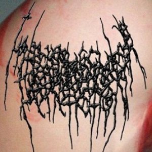 Avatar for Intramuscular Penetration