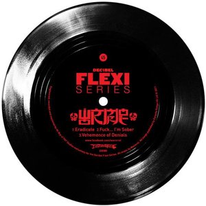 Decibel Flexi Series