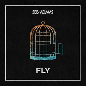 Fly
