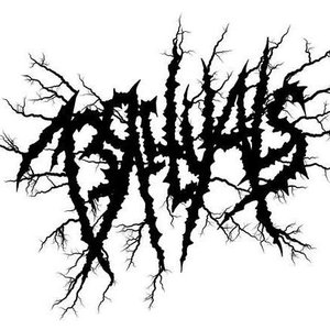 First Demo