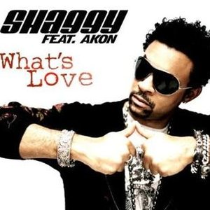 Avatar for Shaggy Feat. Akon
