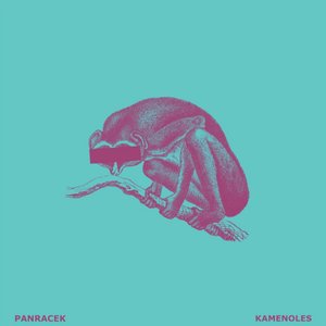 Kamenoles